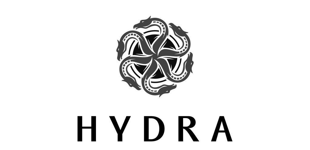 بررسی بنیادین ارز دیجیتال هیدرا hydra