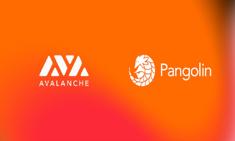 صرافی پنگولین Pangolin